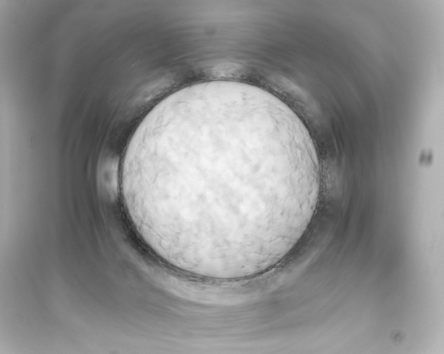 X0000093610028200711121223