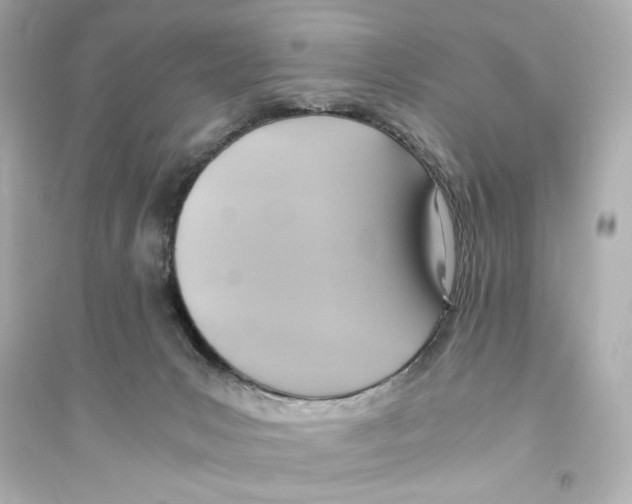 X0000093610031200711121223