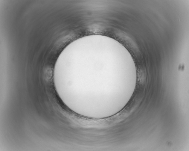 X0000093610036200711121223
