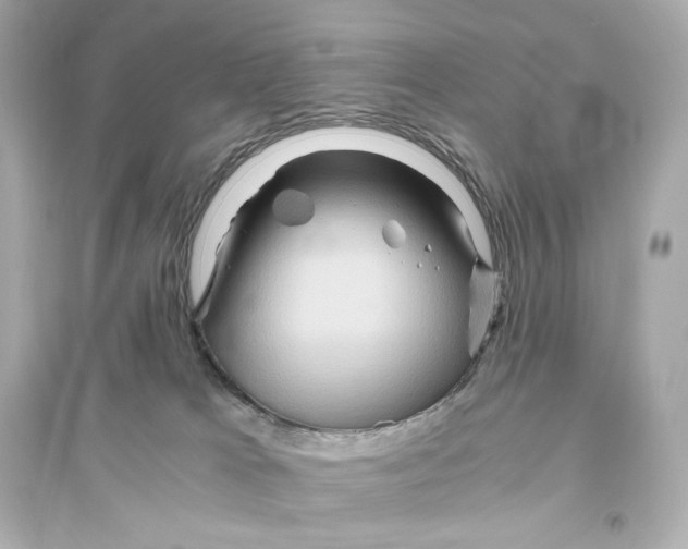 X0000093610037200711121223