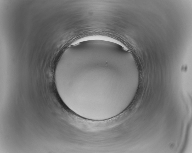 X0000093610039200711121222