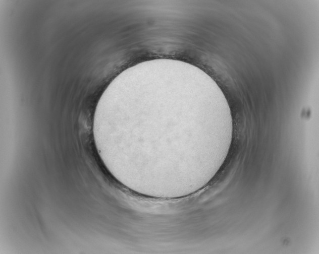 X0000093610040200711121222
