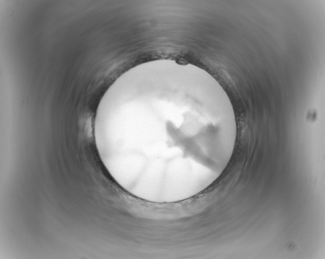 X0000093610042200711121222
