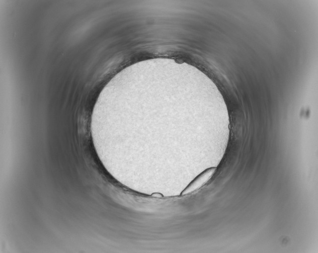 X0000093610044200711121222