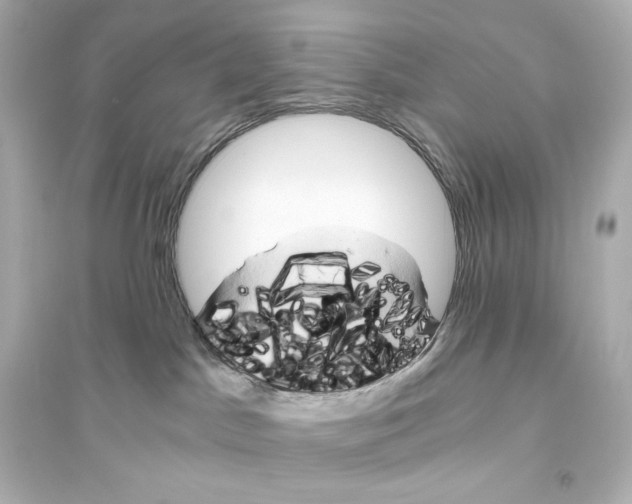 X0000093610045200711121222