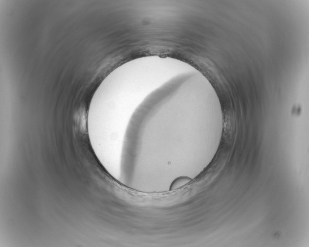 X0000093610046200711121222