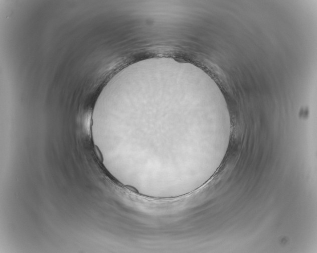 X0000093610047200711121222