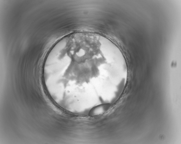 X0000093610049200711121222