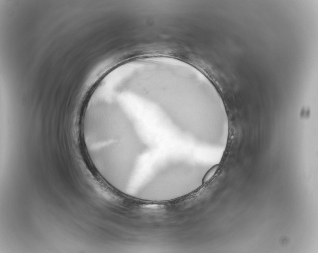 X0000093610053200711121222