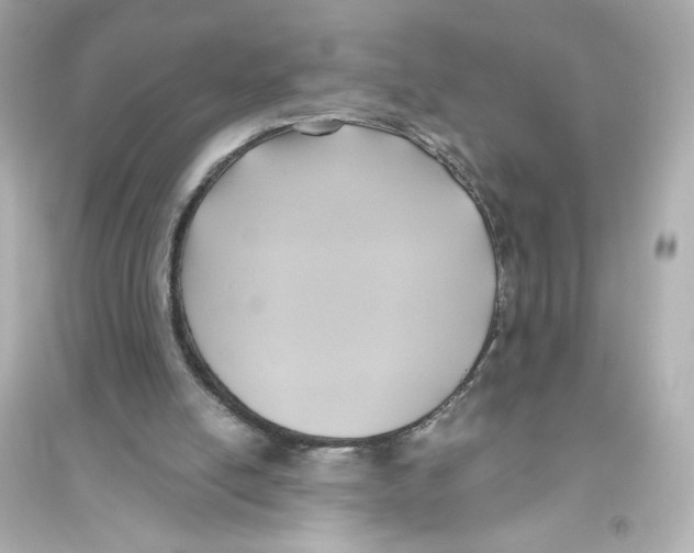 X0000093610054200711121222