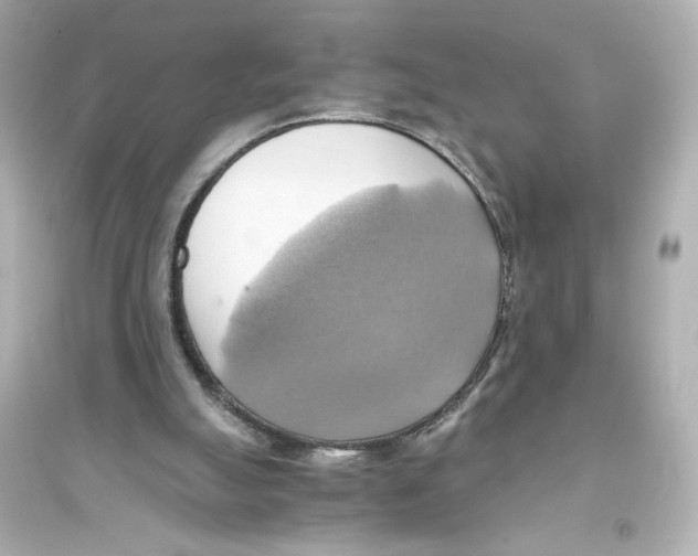 X0000093610055200711121222