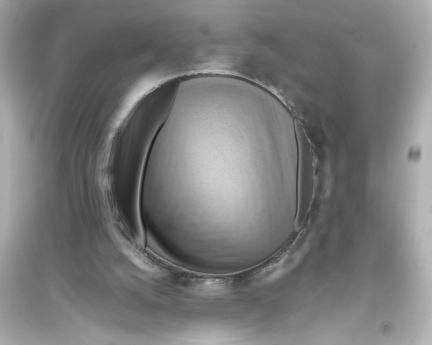 X0000093610056200711121222
