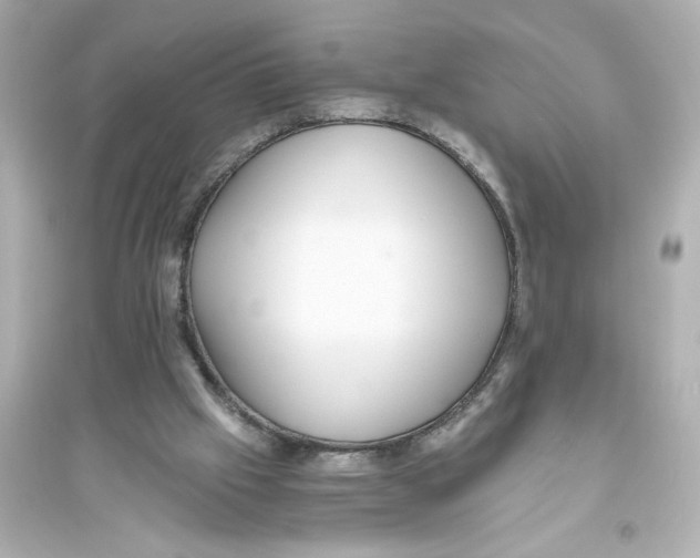 X0000093610057200711121222