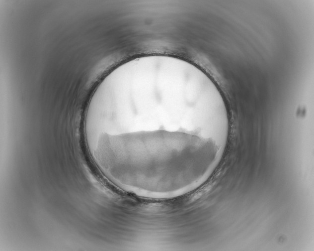 X0000093610058200711121222