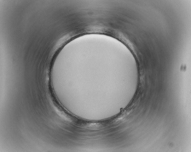 X0000093610059200711121222