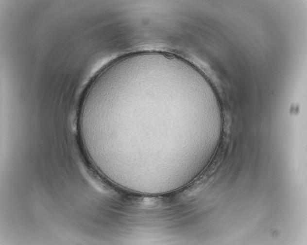 X0000093610060200711121222