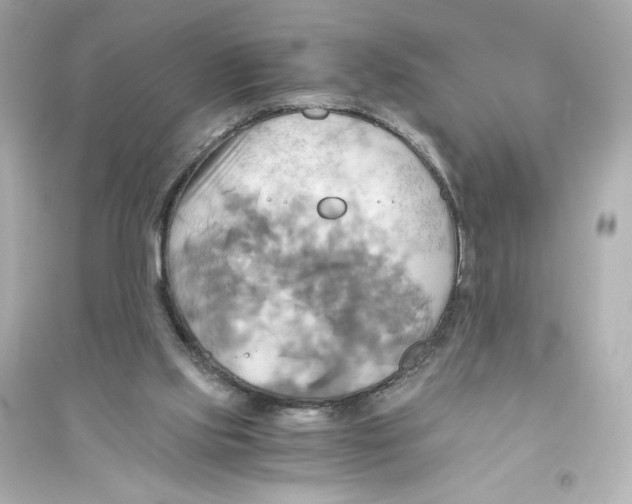 X0000093610061200711121222