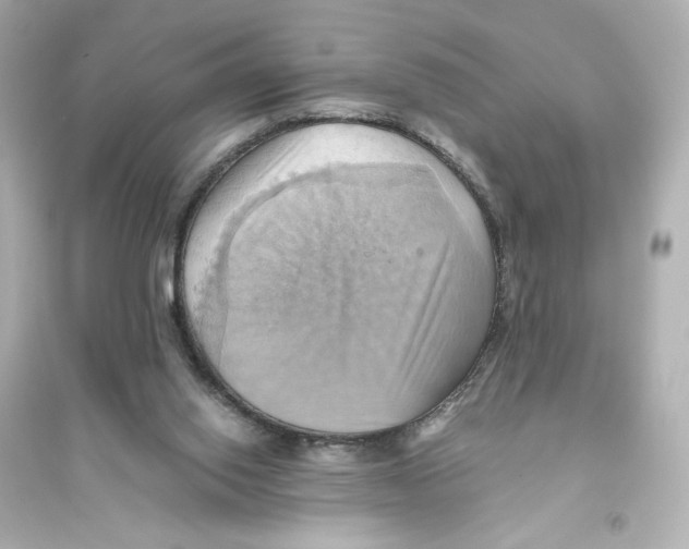X0000093610062200711121222