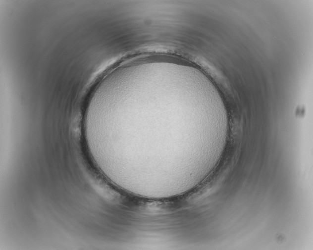 X0000093610064200711121222