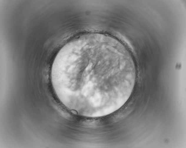 X0000093610065200711121222