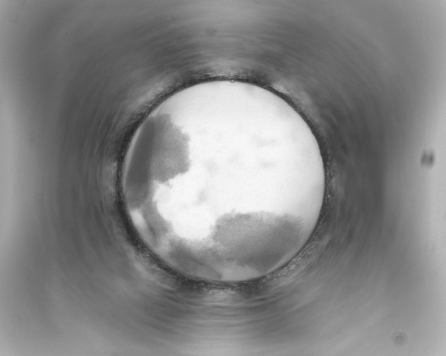 X0000093610066200711121222