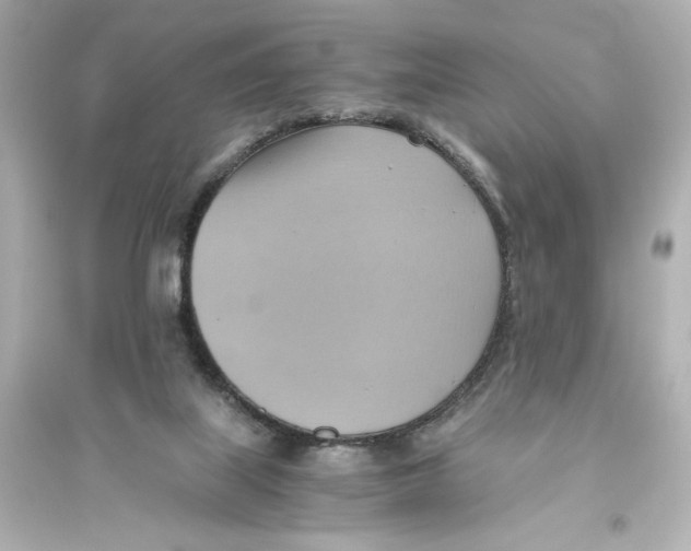 X0000093610067200711121222