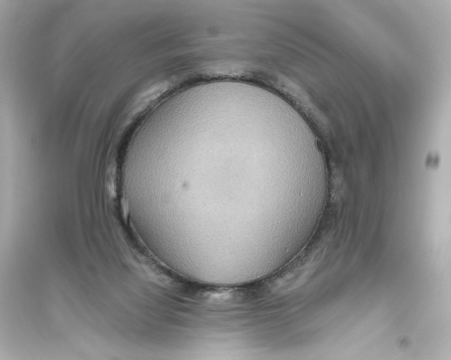 X0000093610068200711121222