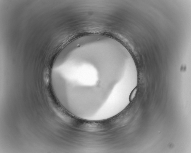 X0000093610069200711121222