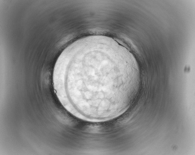 X0000093610071200711121222