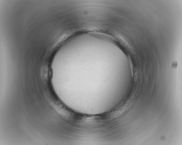 X0000093610072200711121222