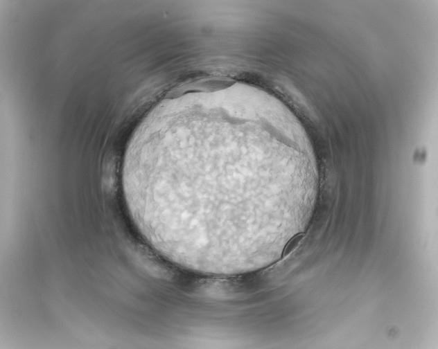 X0000093610074200711121222