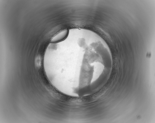 X0000093610075200711121222