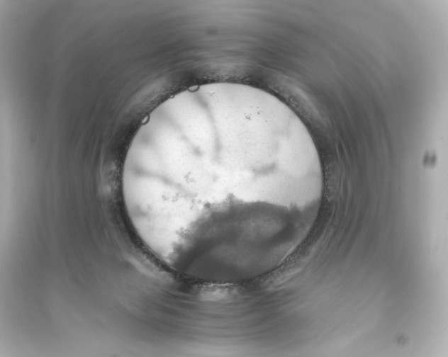 X0000093610077200711121222