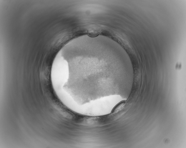 X0000093610078200711121222