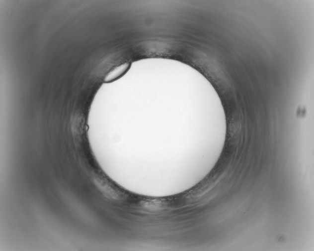 X0000093610079200711121222