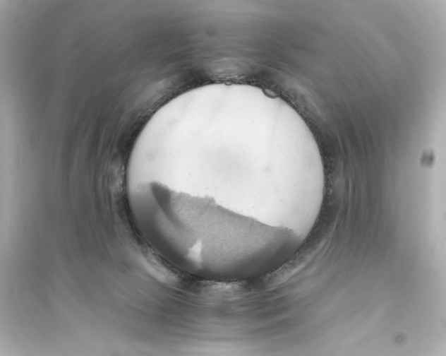 X0000093610081200711121222