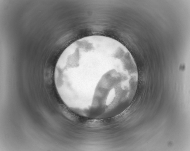 X0000093610082200711121222