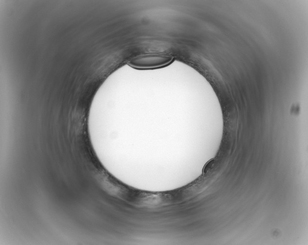 X0000093610083200711121222