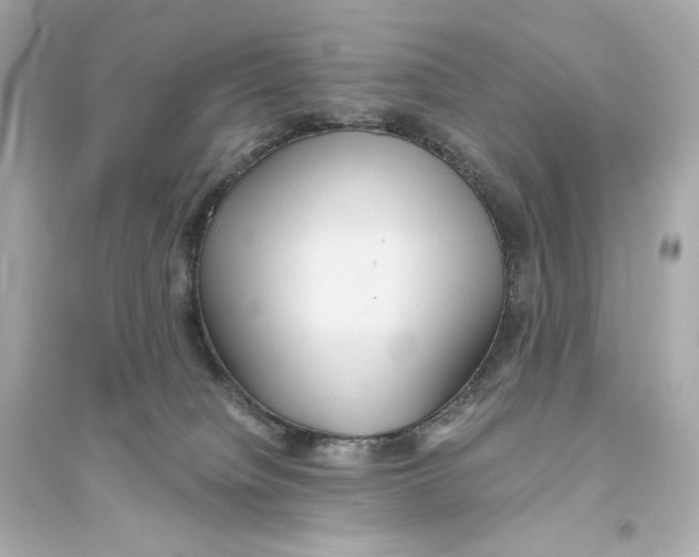 X0000093610084200711121222