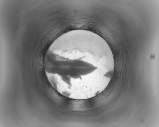 X0000093610085200711121222
