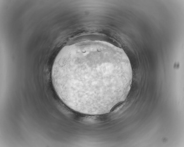 X0000093610086200711121222