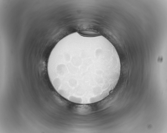 X0000093610087200711121222