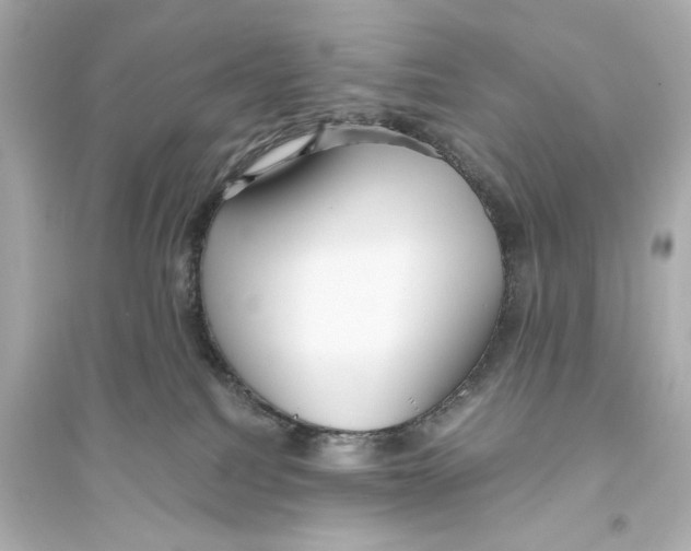 X0000093610088200711121222