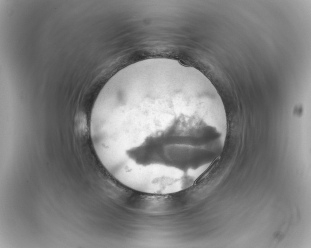 X0000093610089200711121222