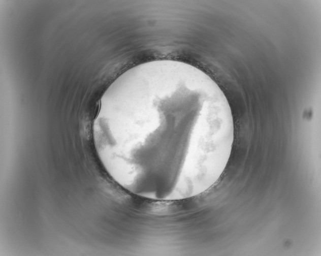 X0000093610090200711121222