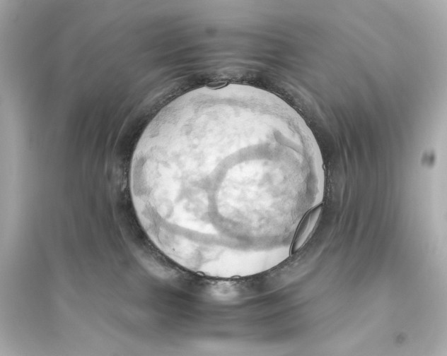 X0000093610091200711121222