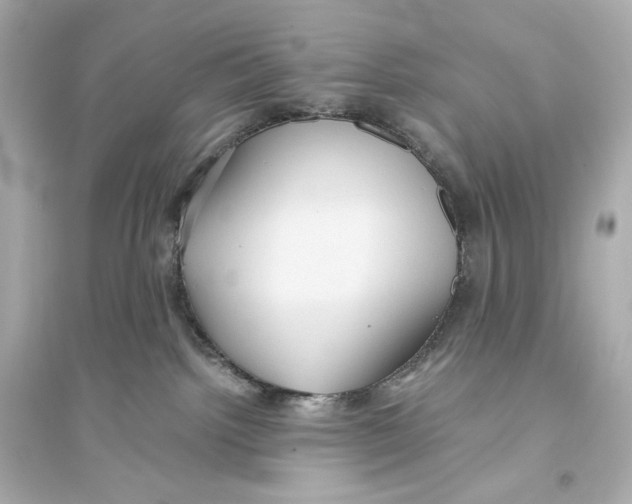 X0000093610092200711121222