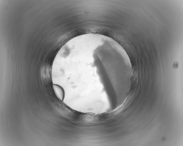 X0000093610094200711121222