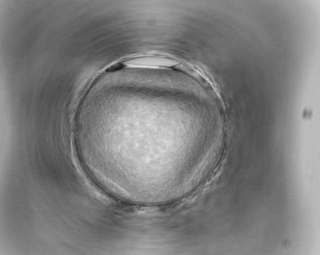 X0000093610097200711121222