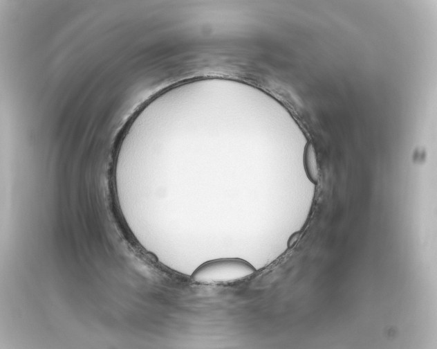 X0000093610098200711121222